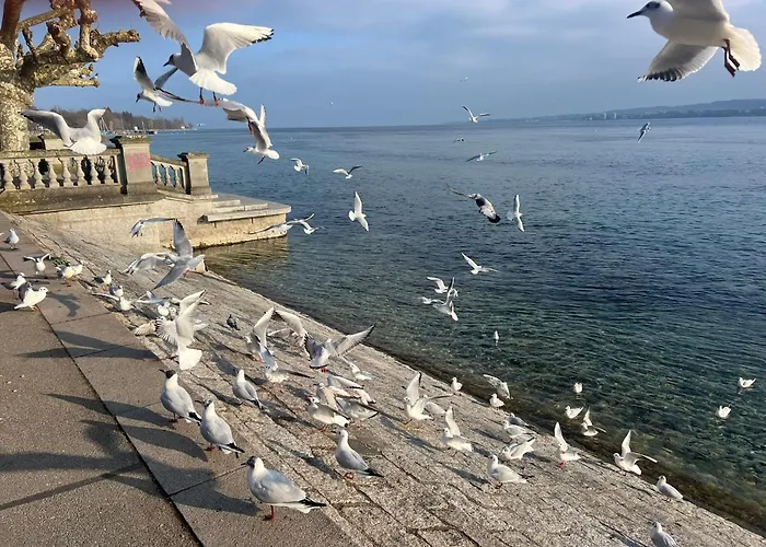 Symphonie-villa Am - Musikerviertel Apartment Konstanz